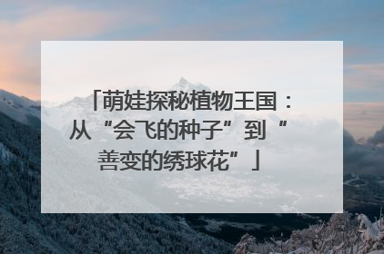萌娃探秘植物王国：从“会飞的种子”到“善变的绣球花”